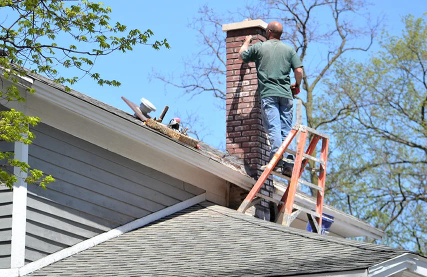 Chimney & Fireplace Inspections Services in Glen Allen, VA